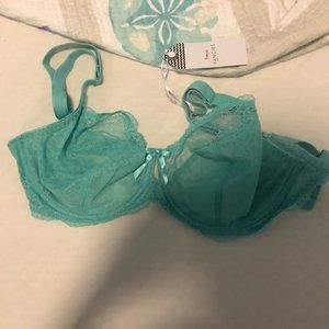 SALE Freya Fancies Plunge Bra (NWT)